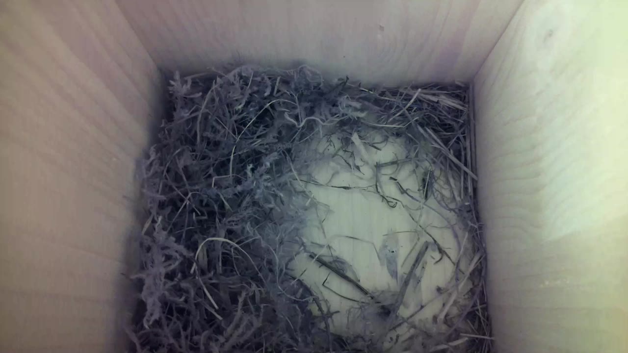 Aufnahme aus dem Vogelhaus