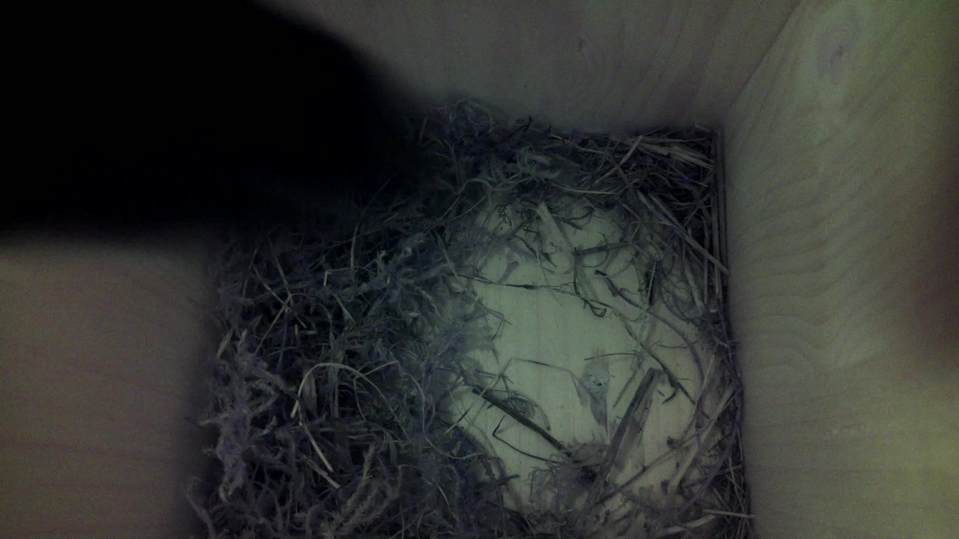 Aufnahme aus dem Vogelhaus