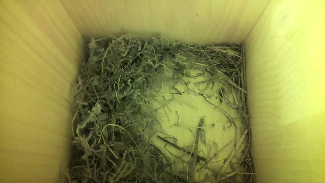 Aufnahme aus dem Vogelhaus