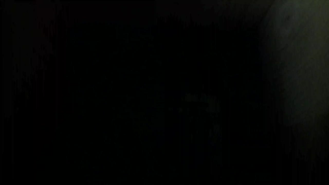 Aufnahme aus dem Vogelhaus