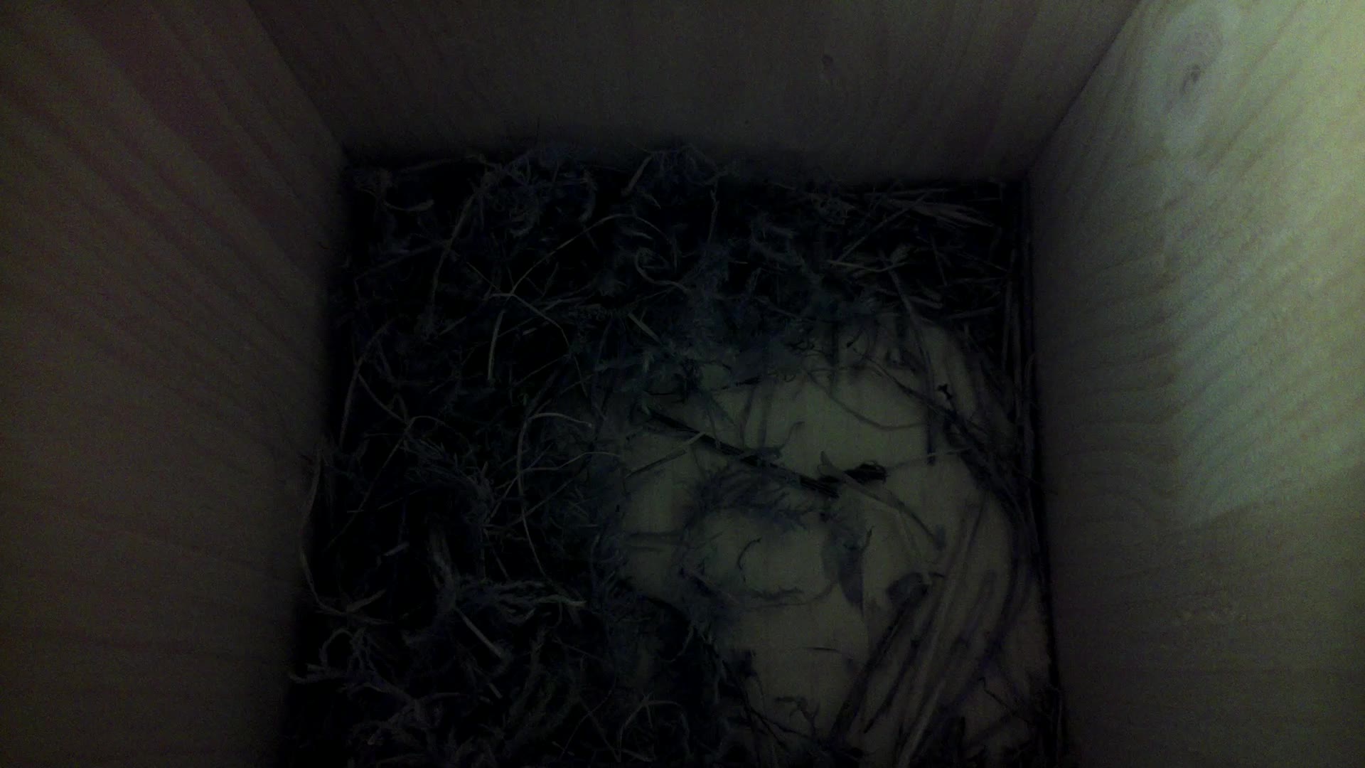 Aufnahme aus dem Vogelhaus