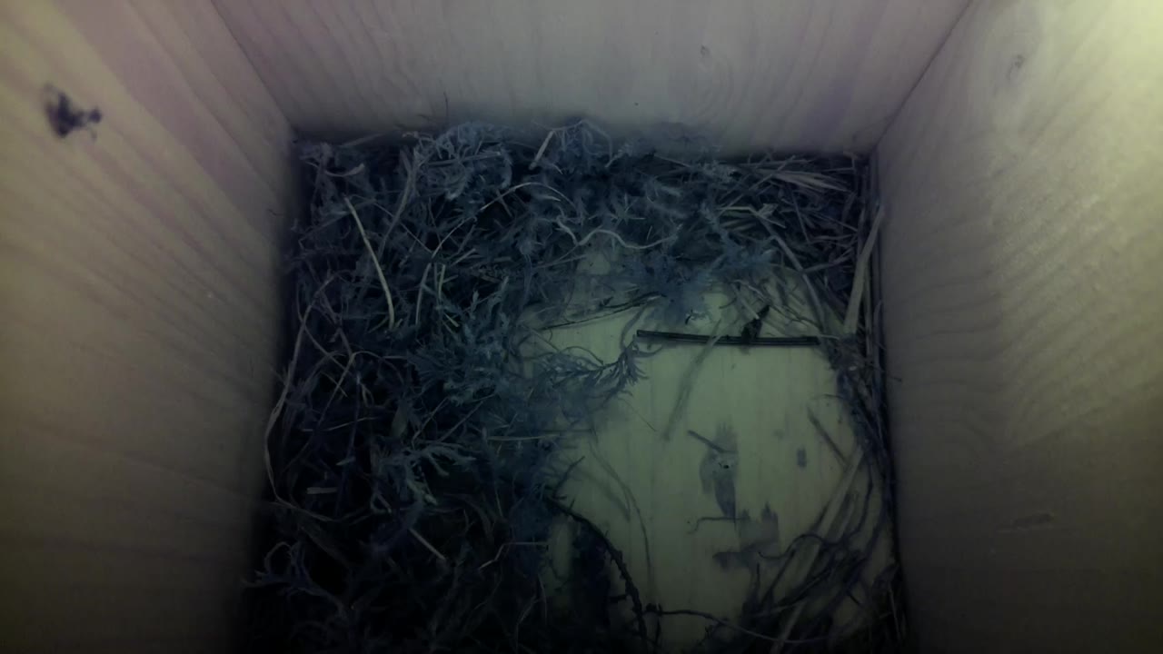 Aufnahme aus dem Vogelhaus