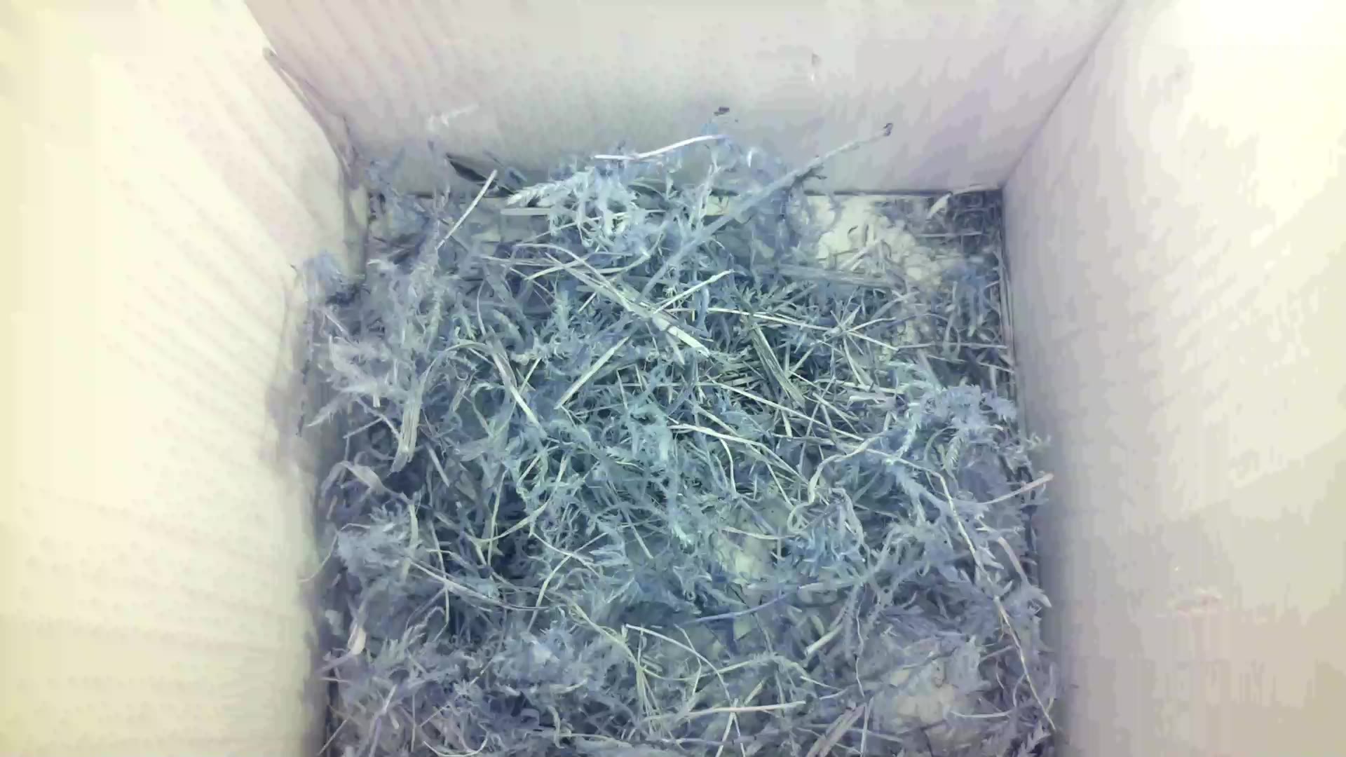 Aufnahme aus dem Vogelhaus