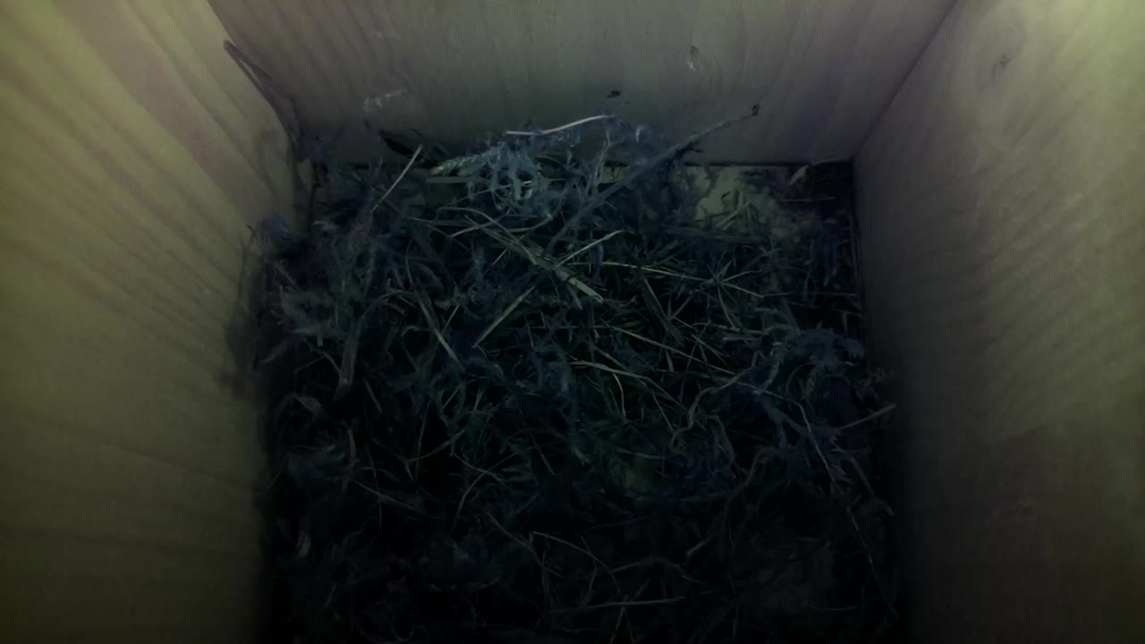 Aufnahme aus dem Vogelhaus