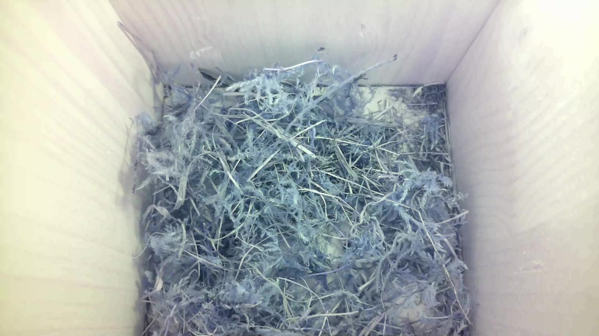 Aufnahme aus dem Vogelhaus