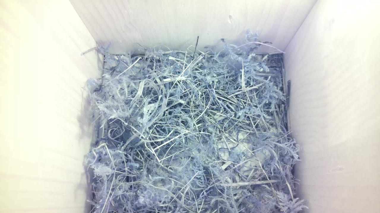 Aufnahme aus dem Vogelhaus