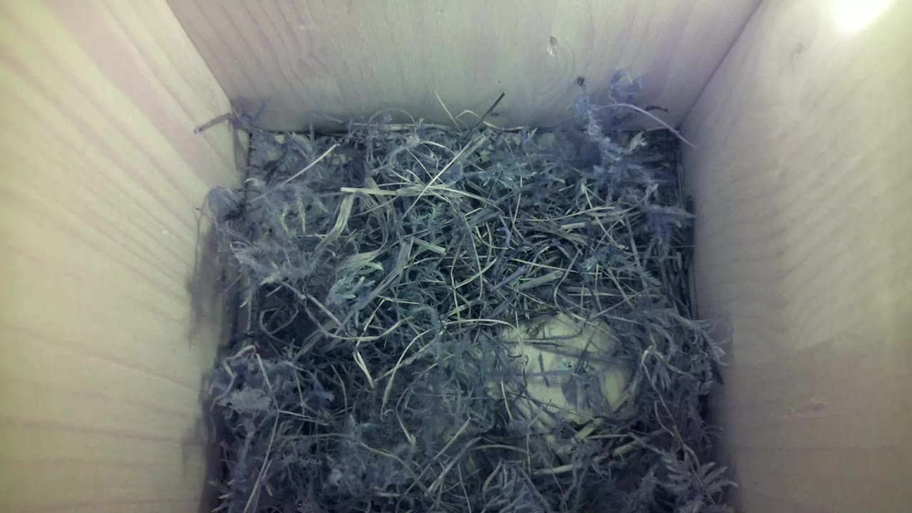 Aufnahme aus dem Vogelhaus