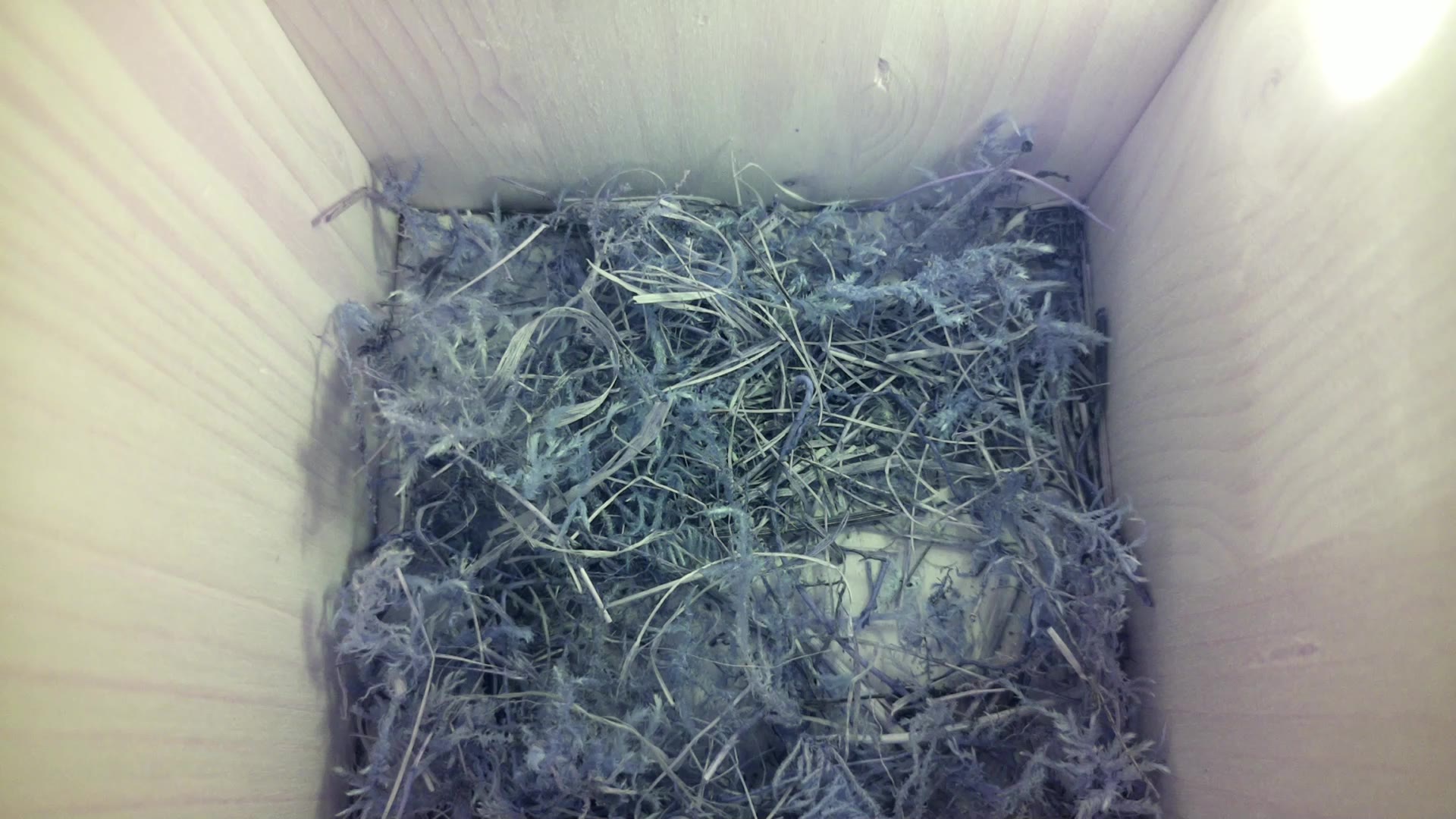 Aufnahme aus dem Vogelhaus