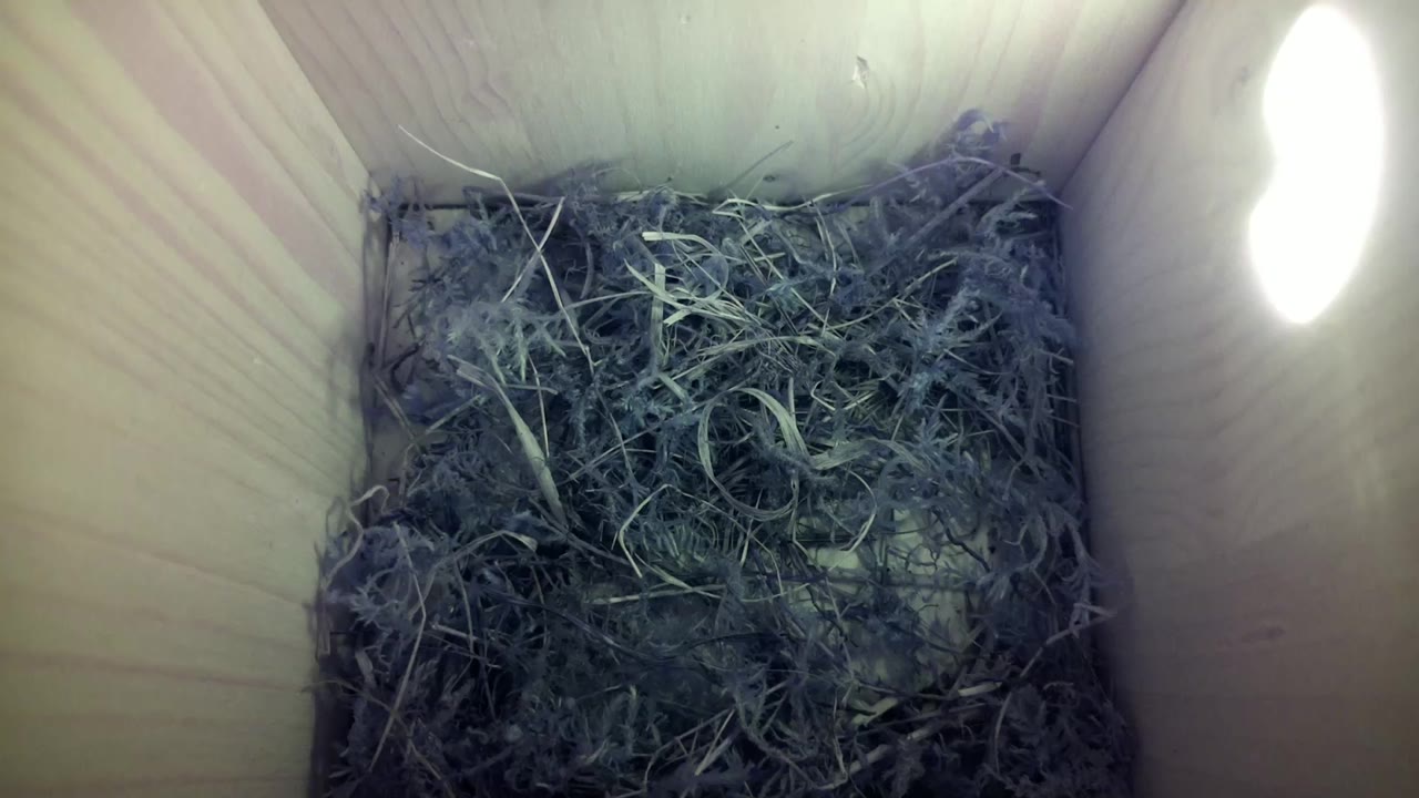 Aufnahme aus dem Vogelhaus