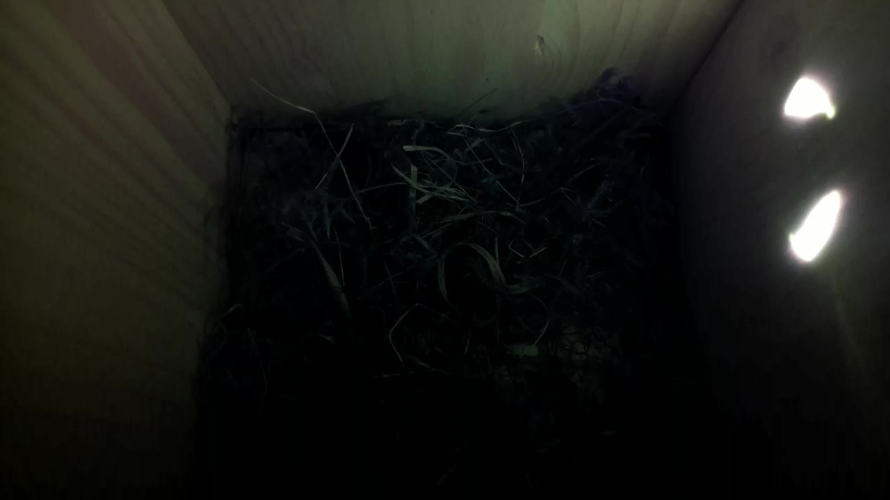 Aufnahme aus dem Vogelhaus