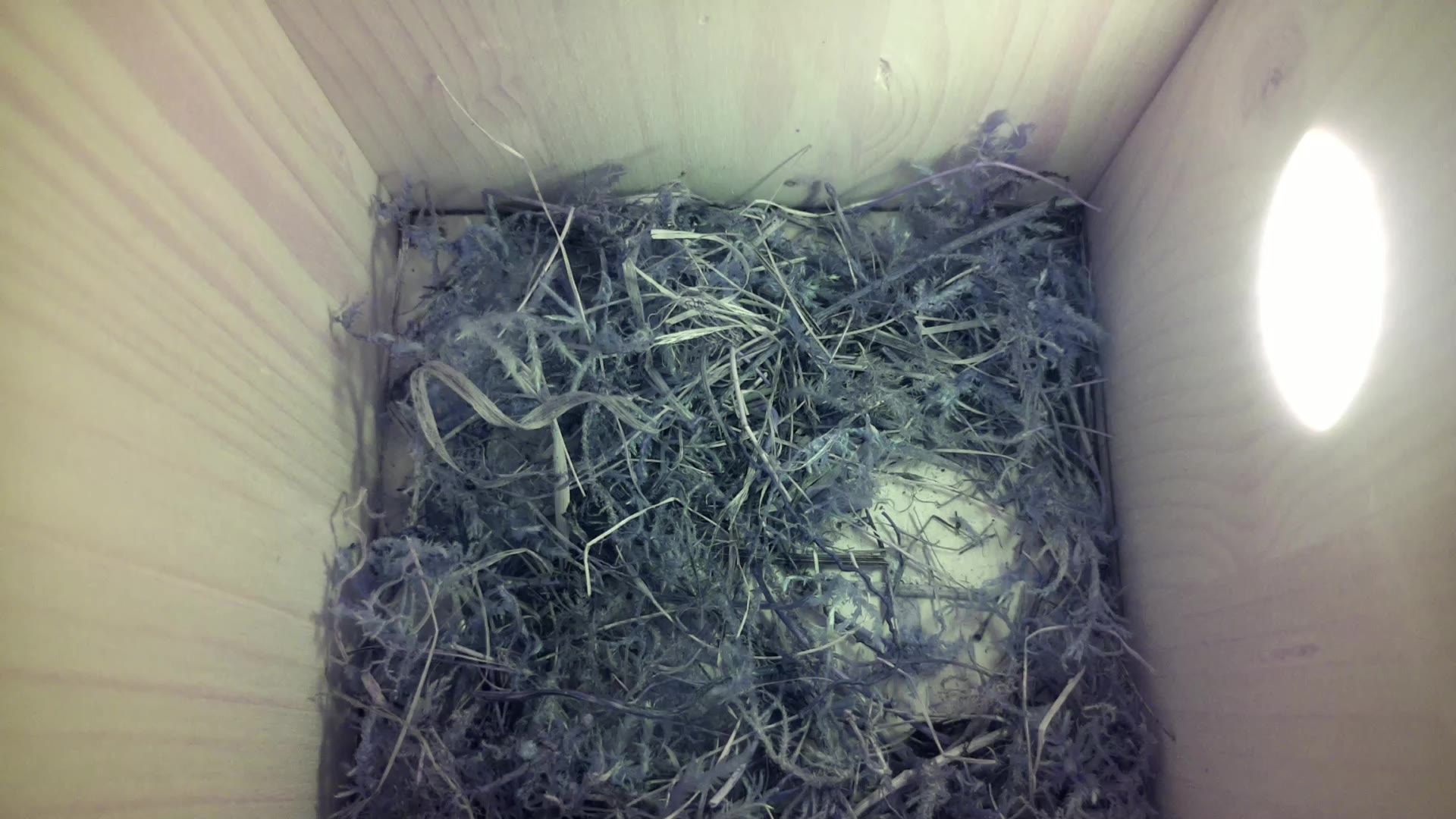 Aufnahme aus dem Vogelhaus