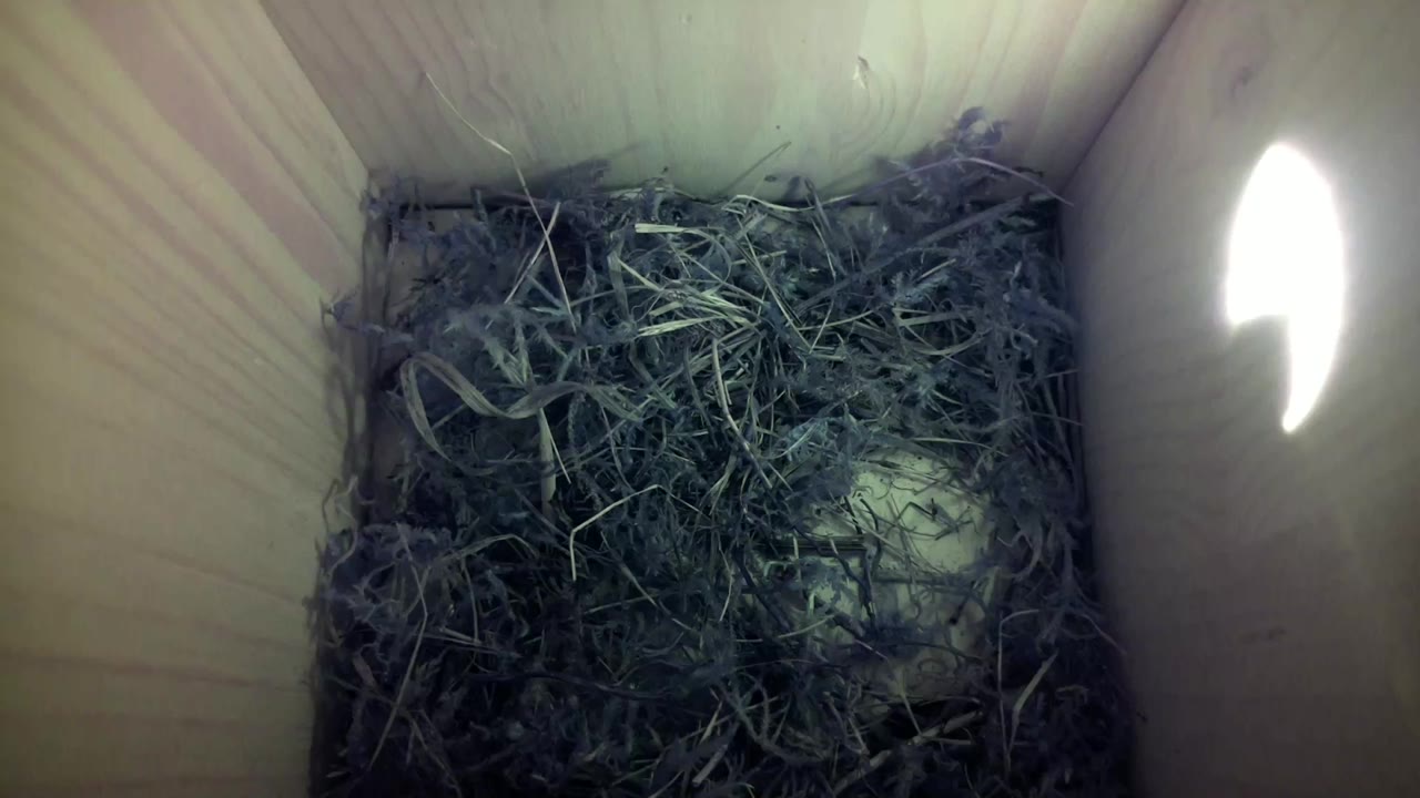 Aufnahme aus dem Vogelhaus