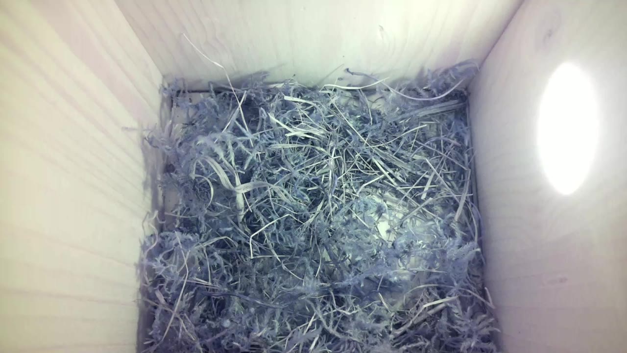Aufnahme aus dem Vogelhaus