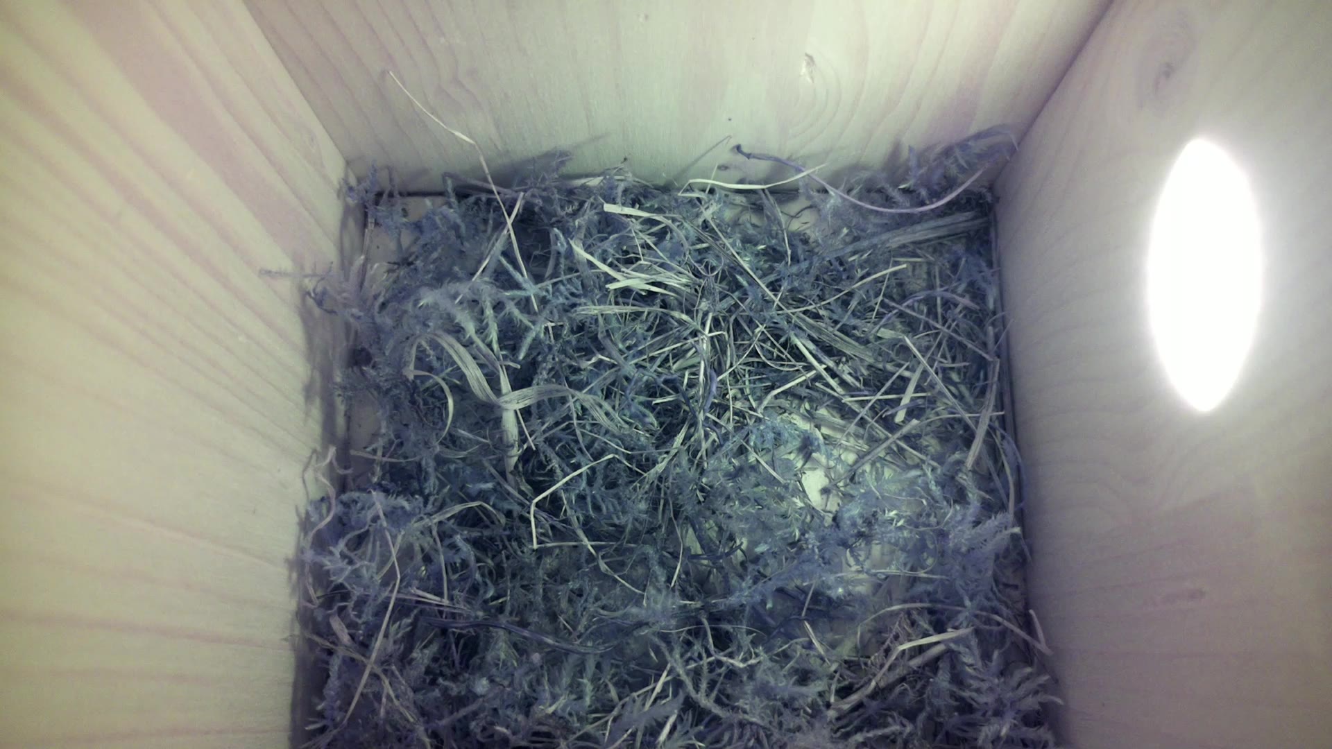 Aufnahme aus dem Vogelhaus