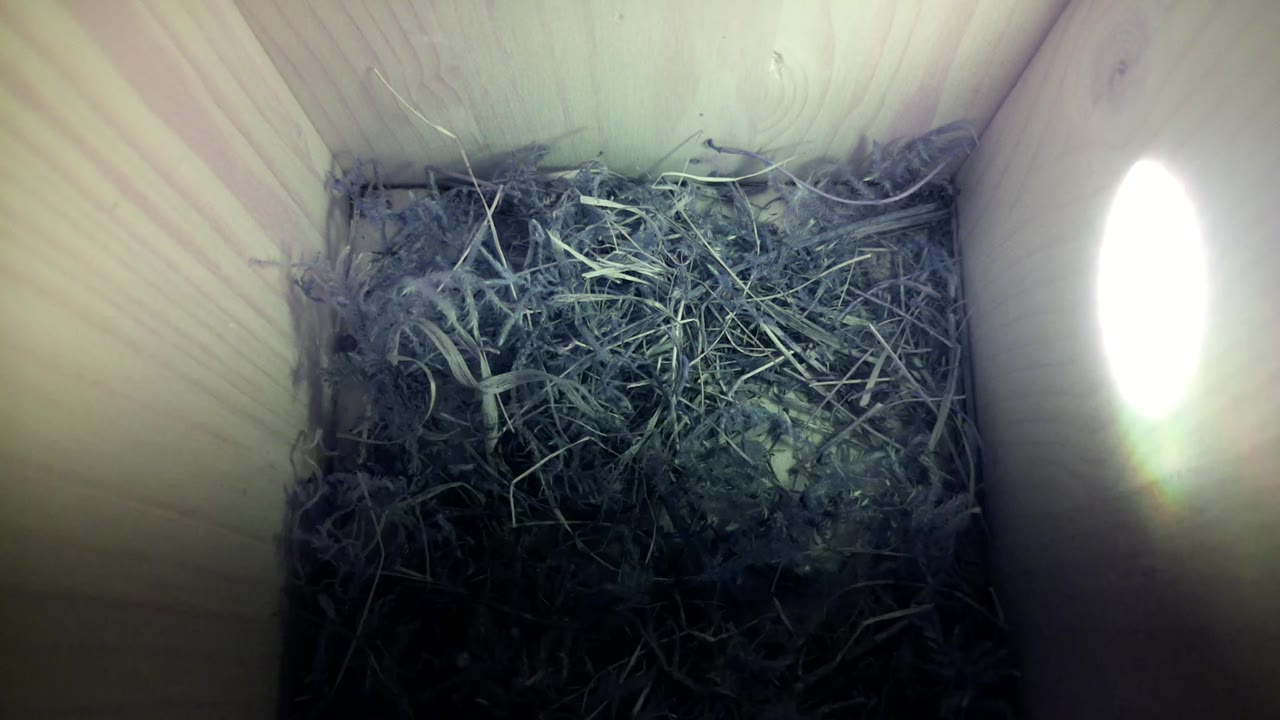 Aufnahme aus dem Vogelhaus