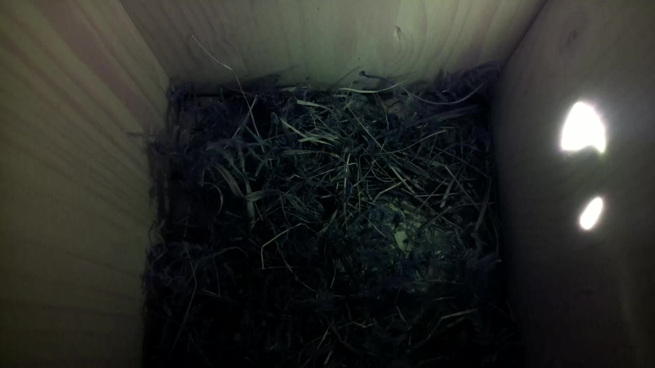 Aufnahme aus dem Vogelhaus