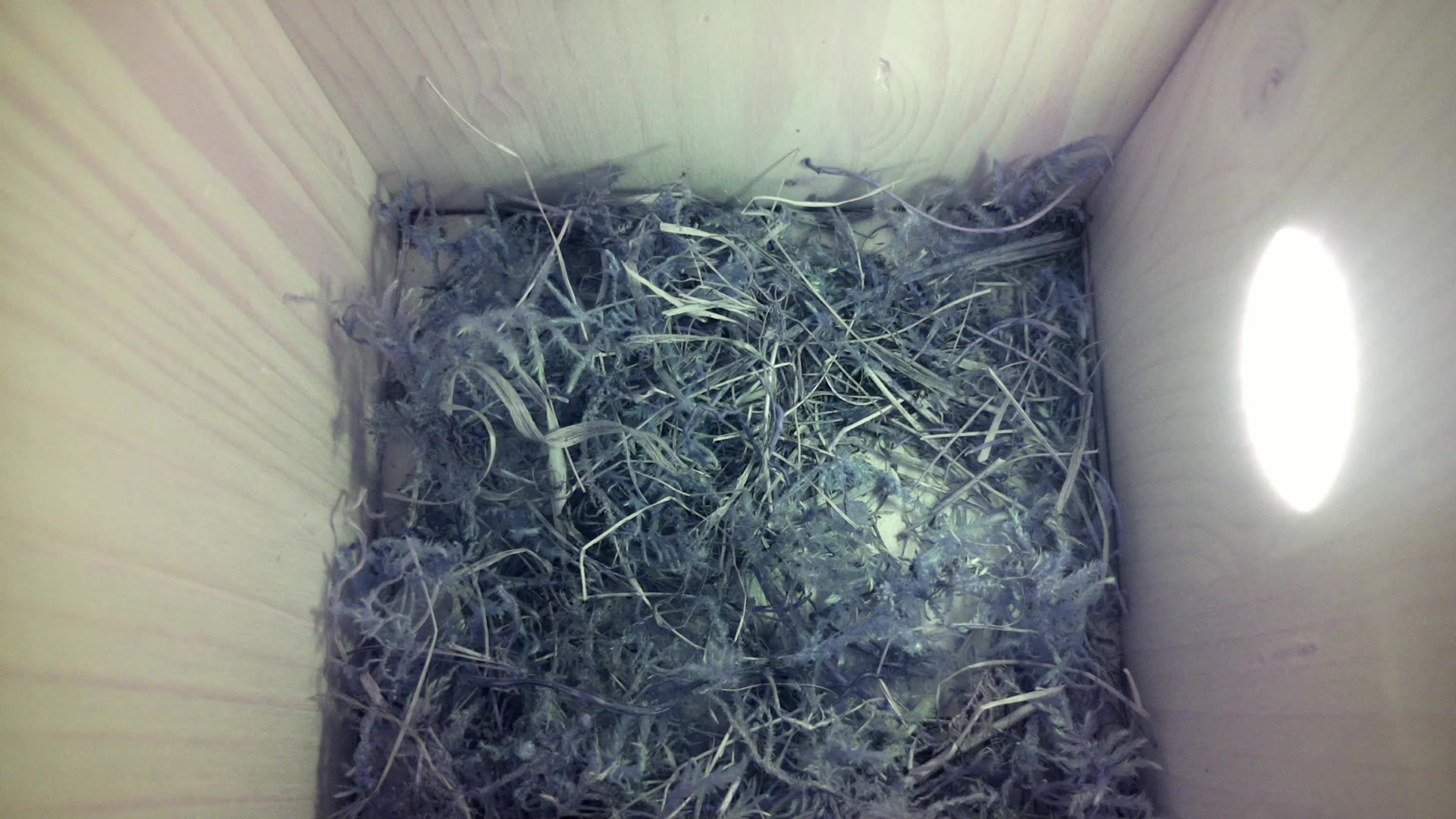 Aufnahme aus dem Vogelhaus