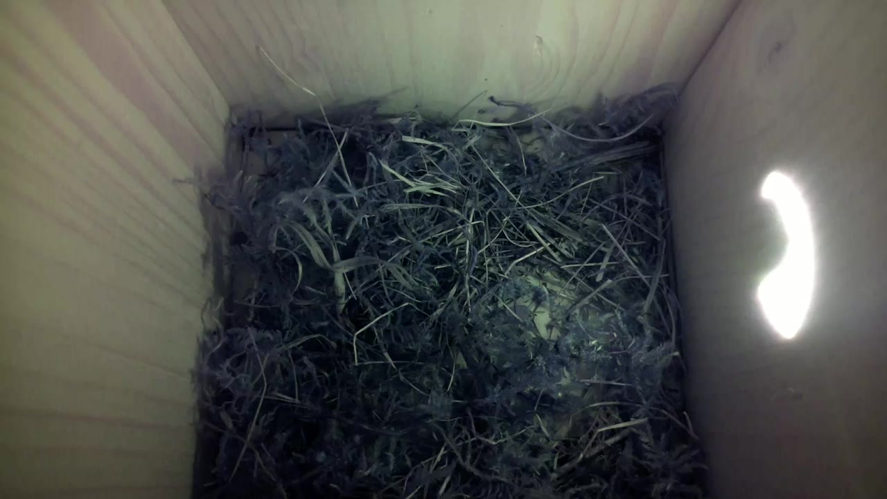 Aufnahme aus dem Vogelhaus