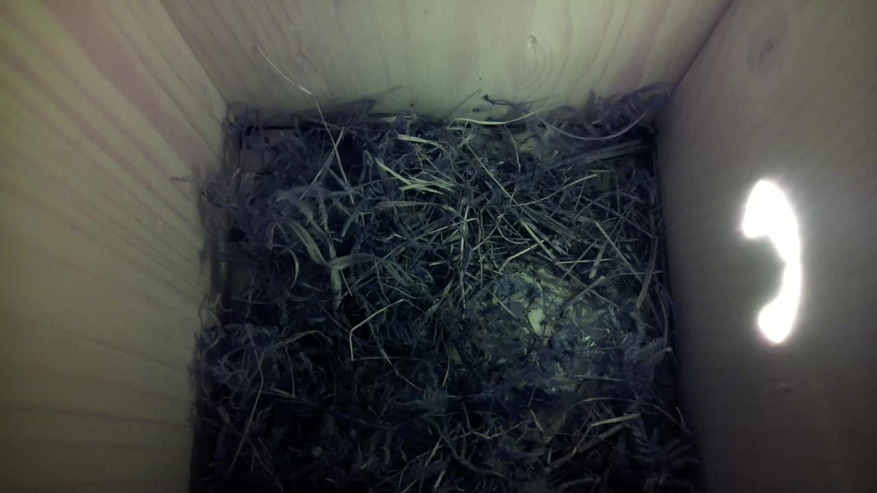 Aufnahme aus dem Vogelhaus