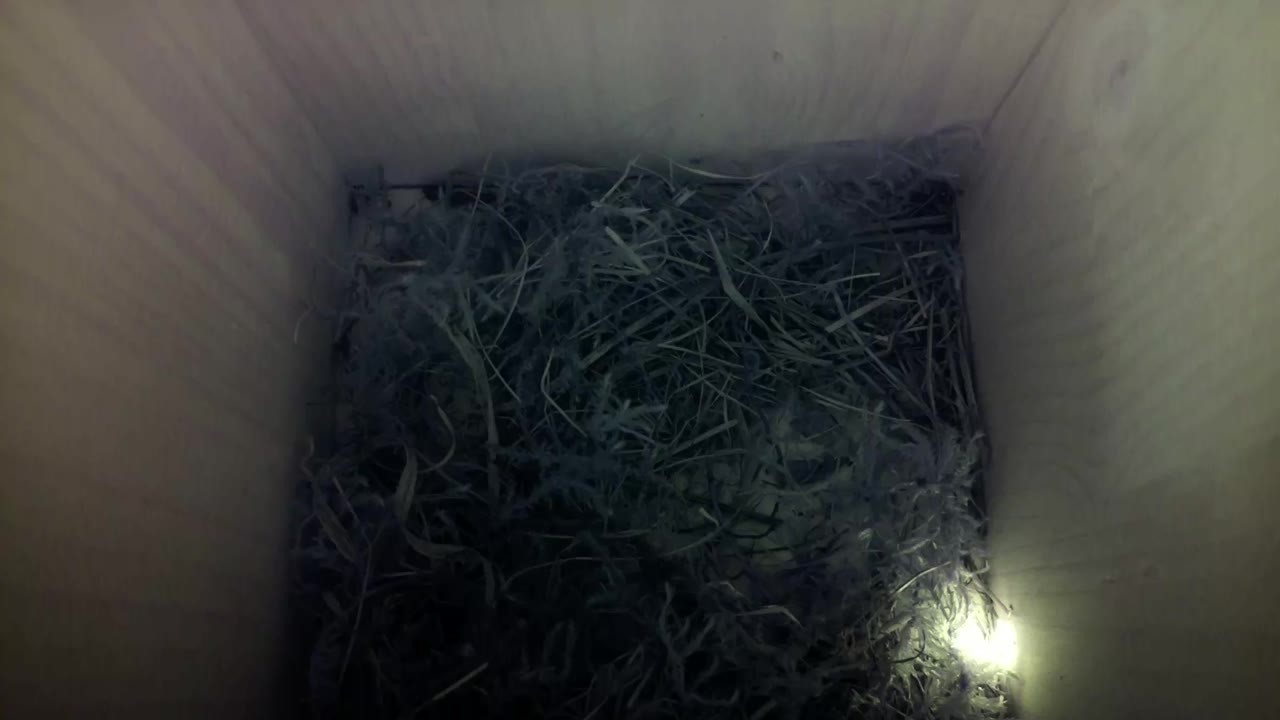 Aufnahme aus dem Vogelhaus