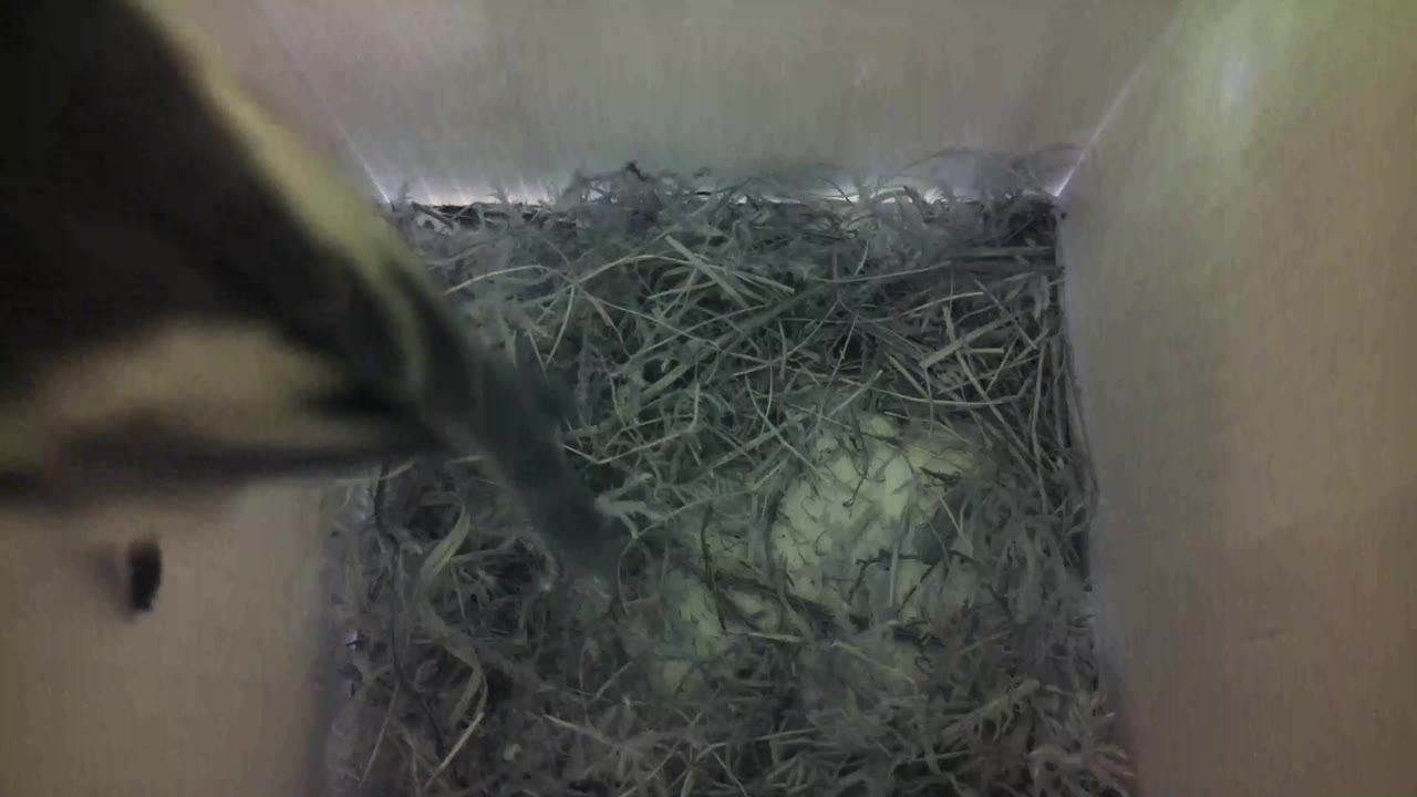 Aufnahme aus dem Vogelhaus