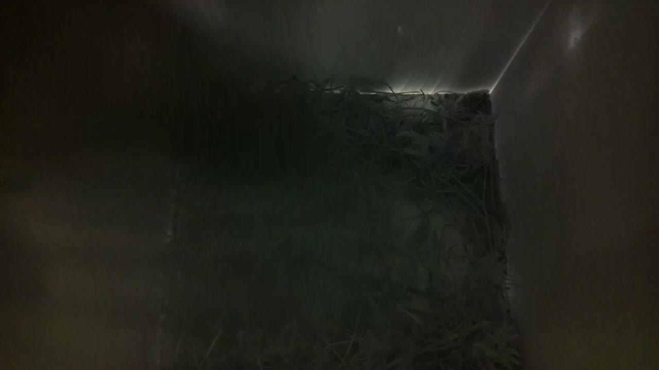 Aufnahme aus dem Vogelhaus