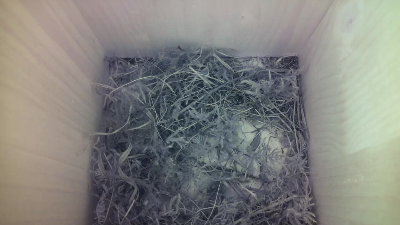 Aufnahme aus dem Vogelhaus