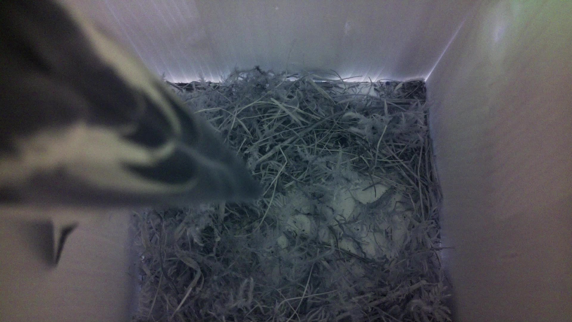Aufnahme aus dem Vogelhaus