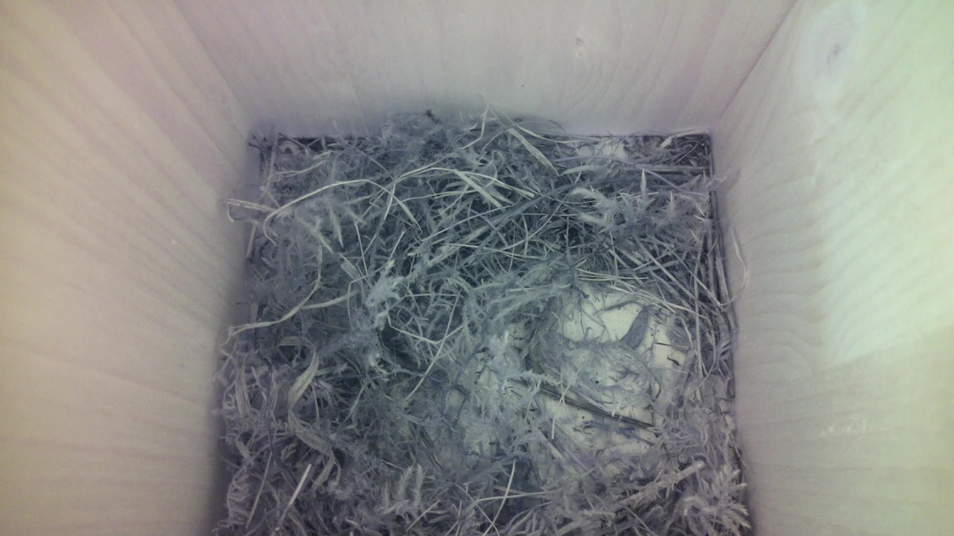 Aufnahme aus dem Vogelhaus