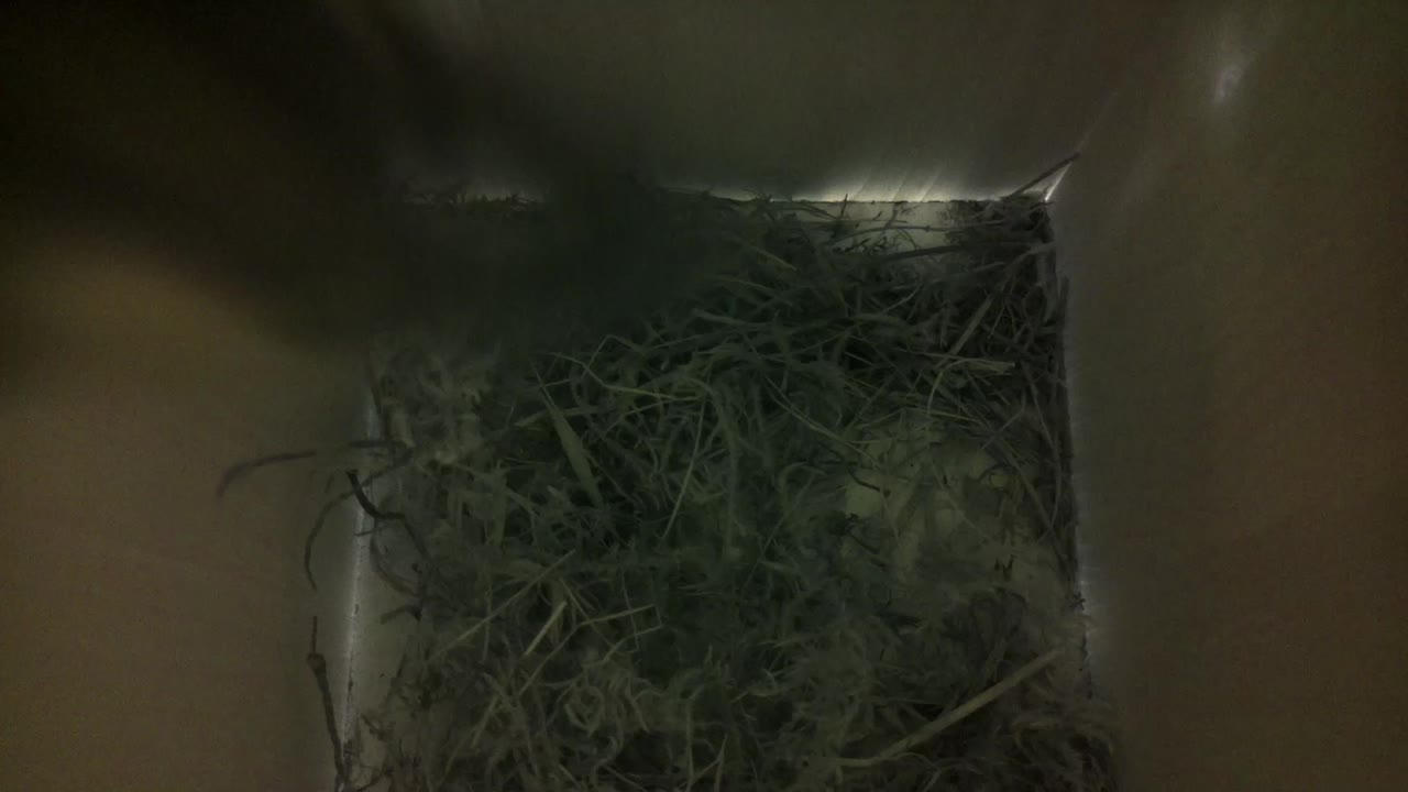 Aufnahme aus dem Vogelhaus
