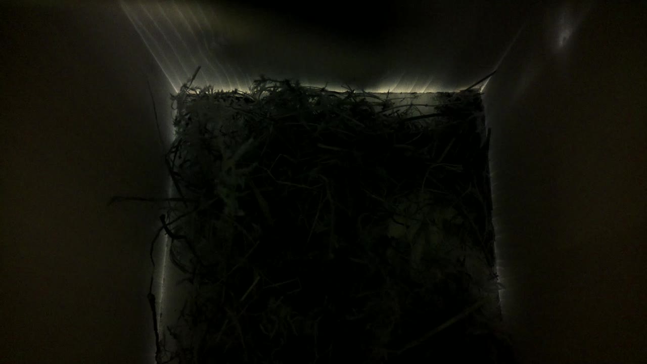 Aufnahme aus dem Vogelhaus