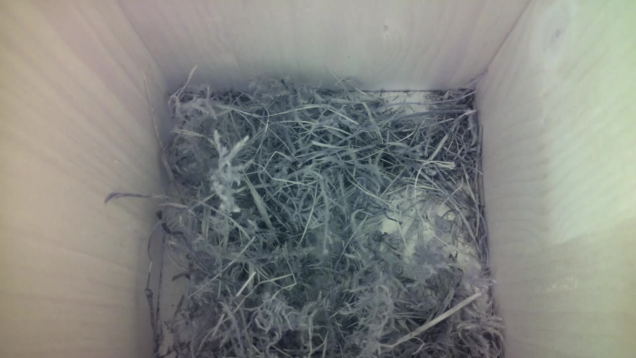 Aufnahme aus dem Vogelhaus