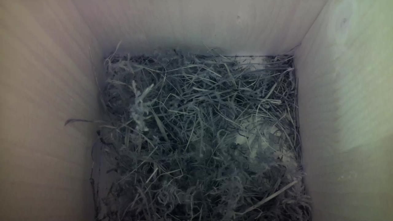 Aufnahme aus dem Vogelhaus