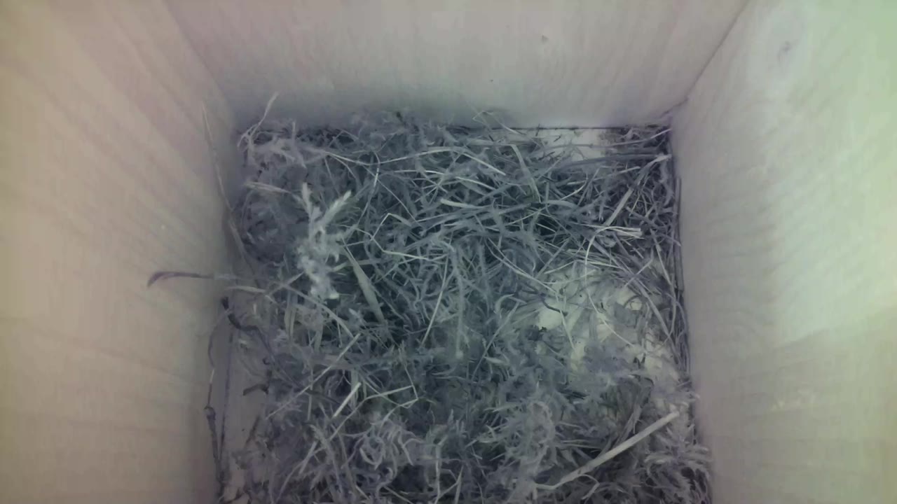 Aufnahme aus dem Vogelhaus