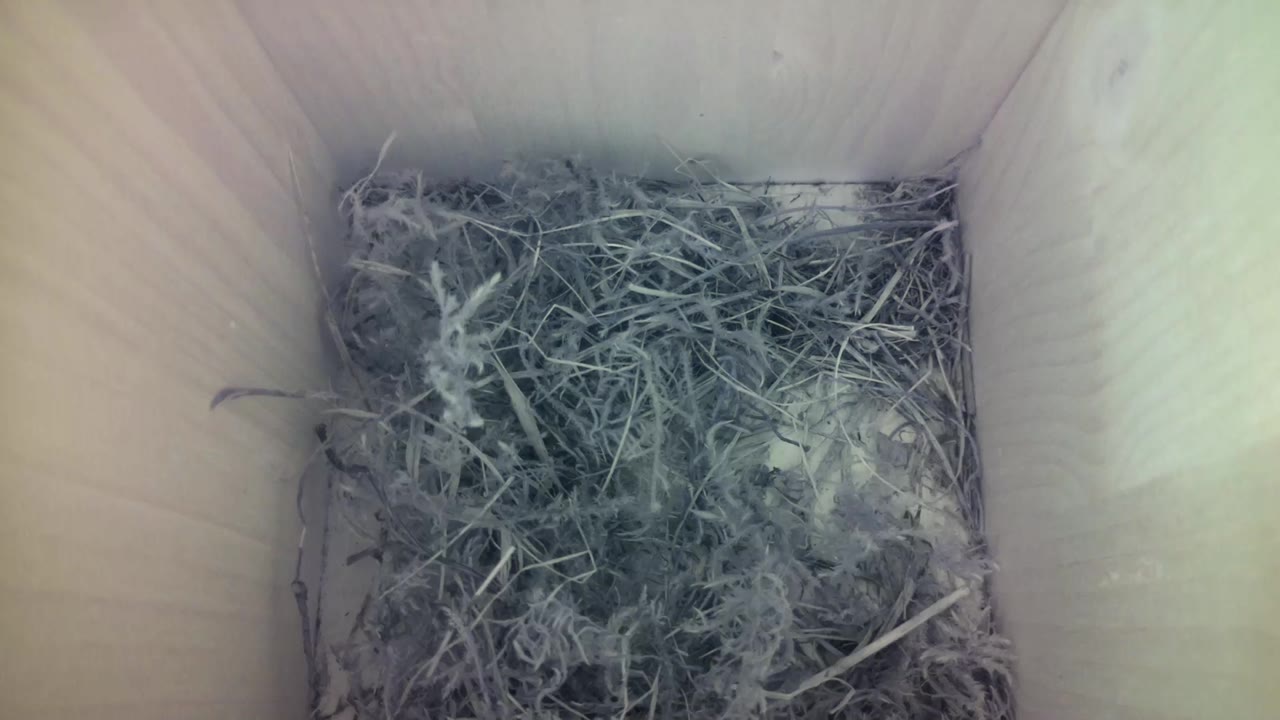 Aufnahme aus dem Vogelhaus