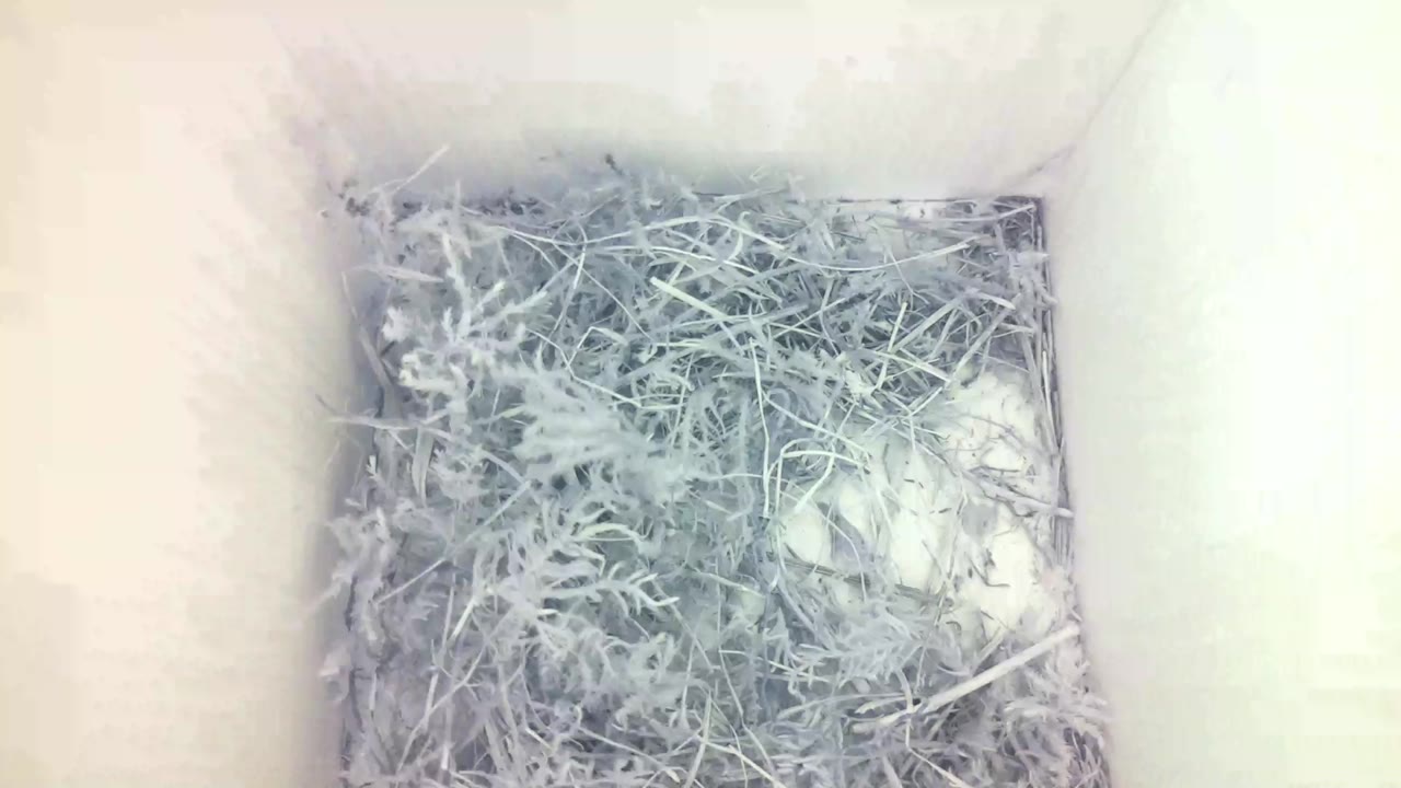 Aufnahme aus dem Vogelhaus