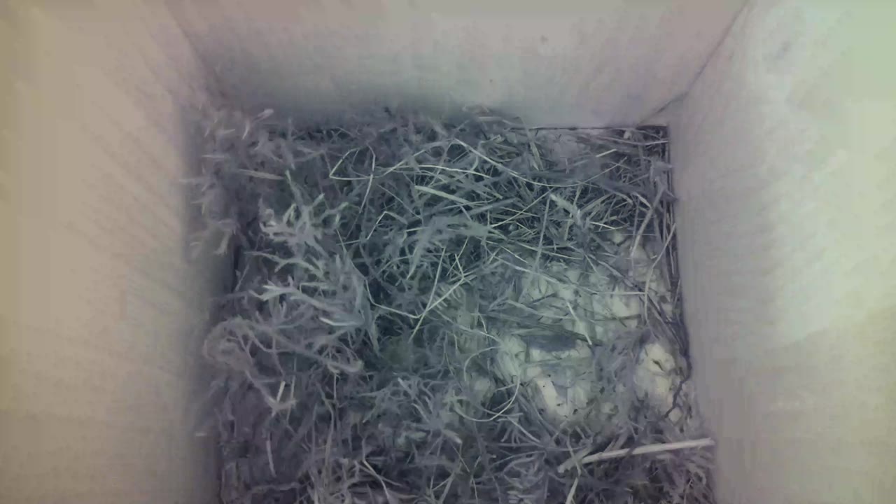 Aufnahme aus dem Vogelhaus
