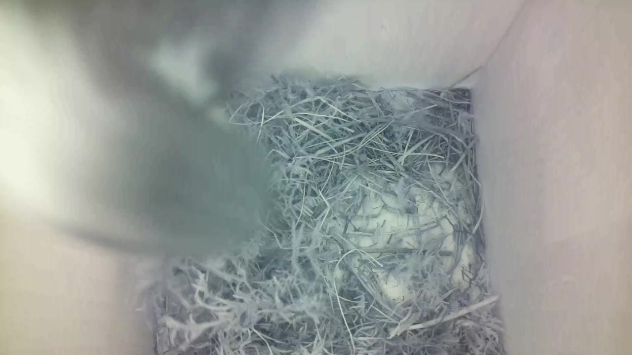 Aufnahme aus dem Vogelhaus