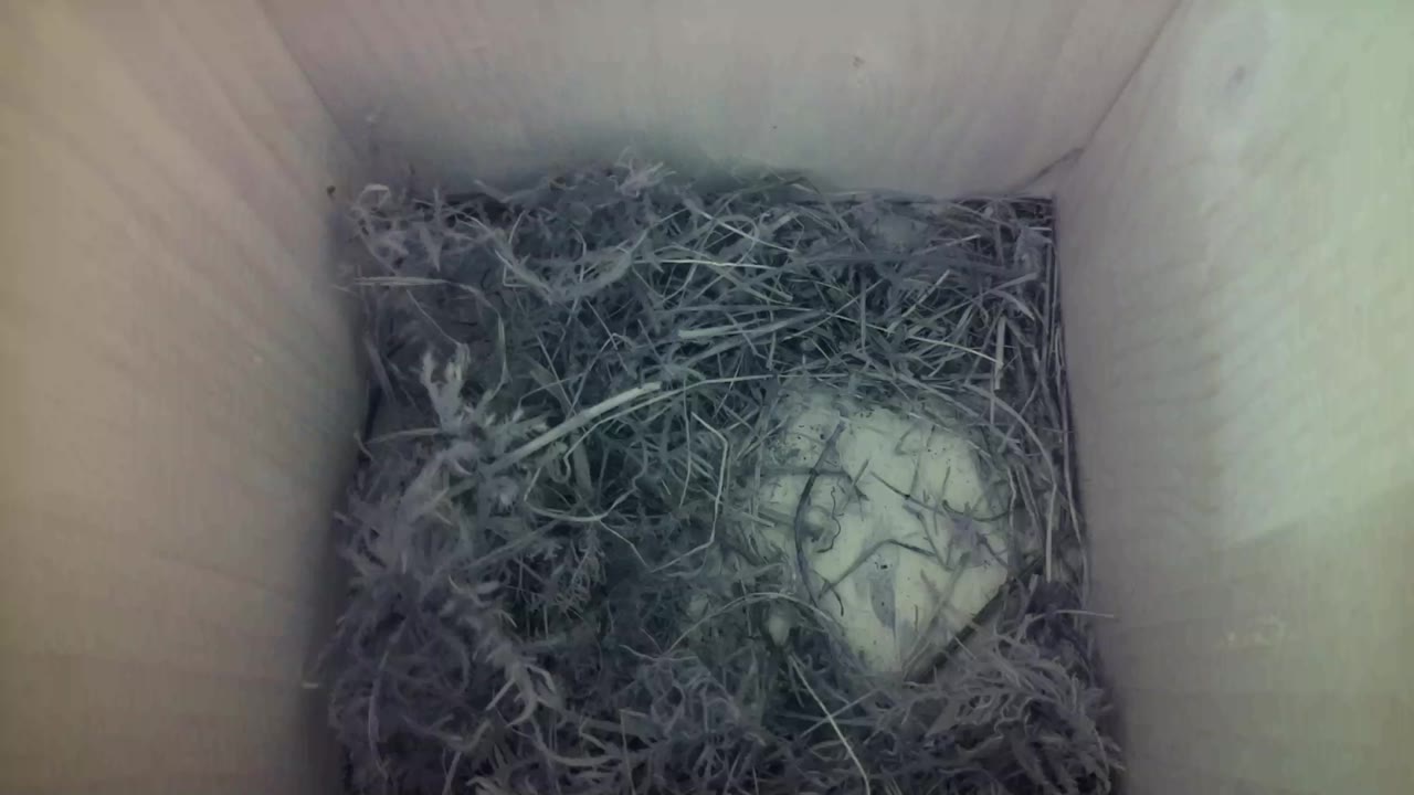 Aufnahme aus dem Vogelhaus