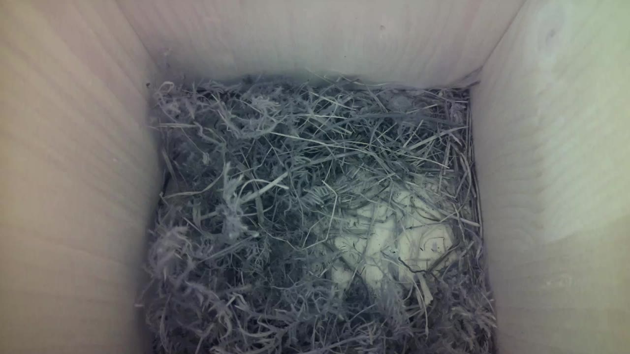 Aufnahme aus dem Vogelhaus