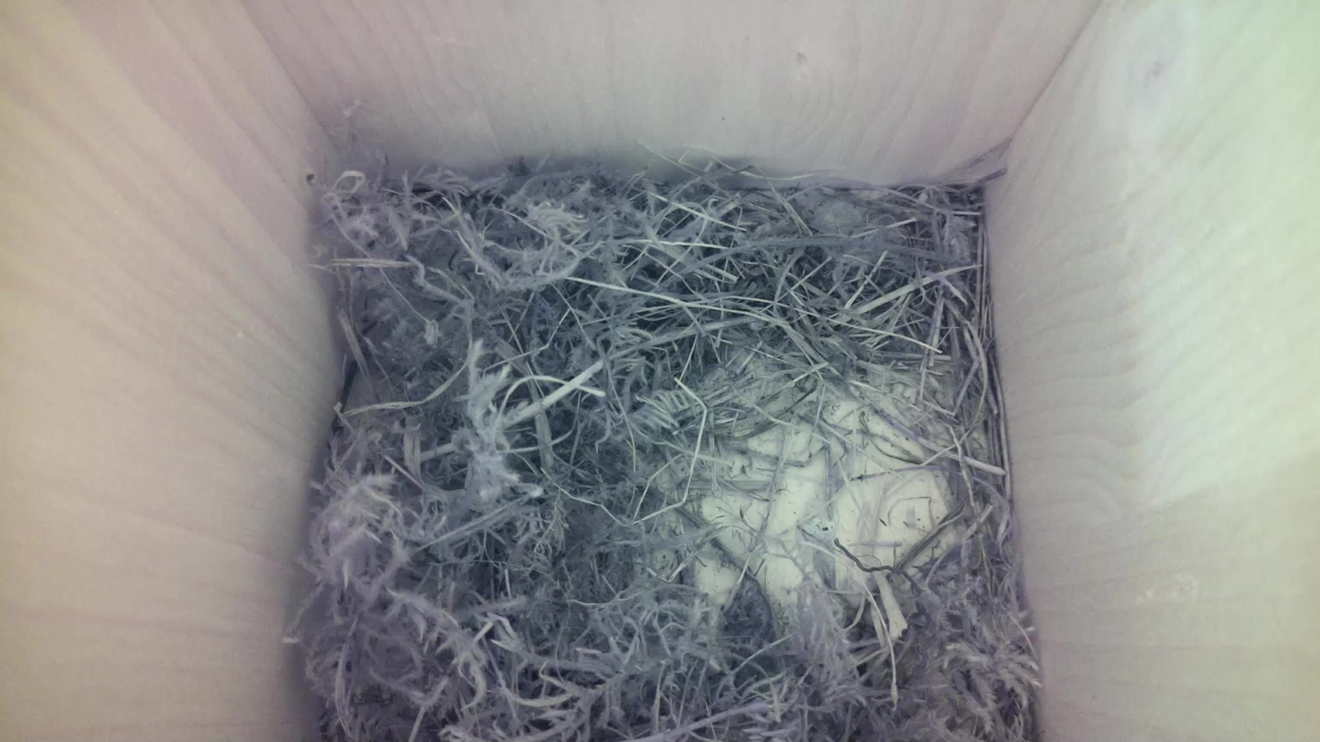 Aufnahme aus dem Vogelhaus