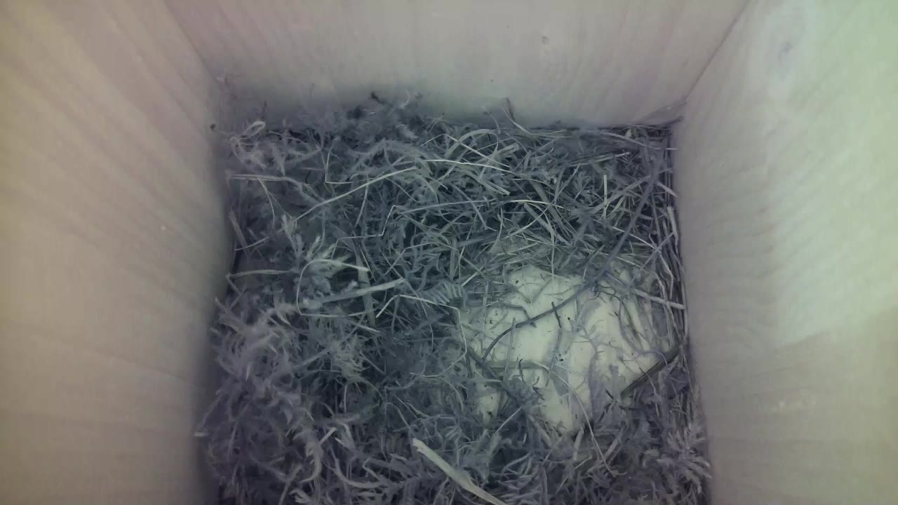Aufnahme aus dem Vogelhaus