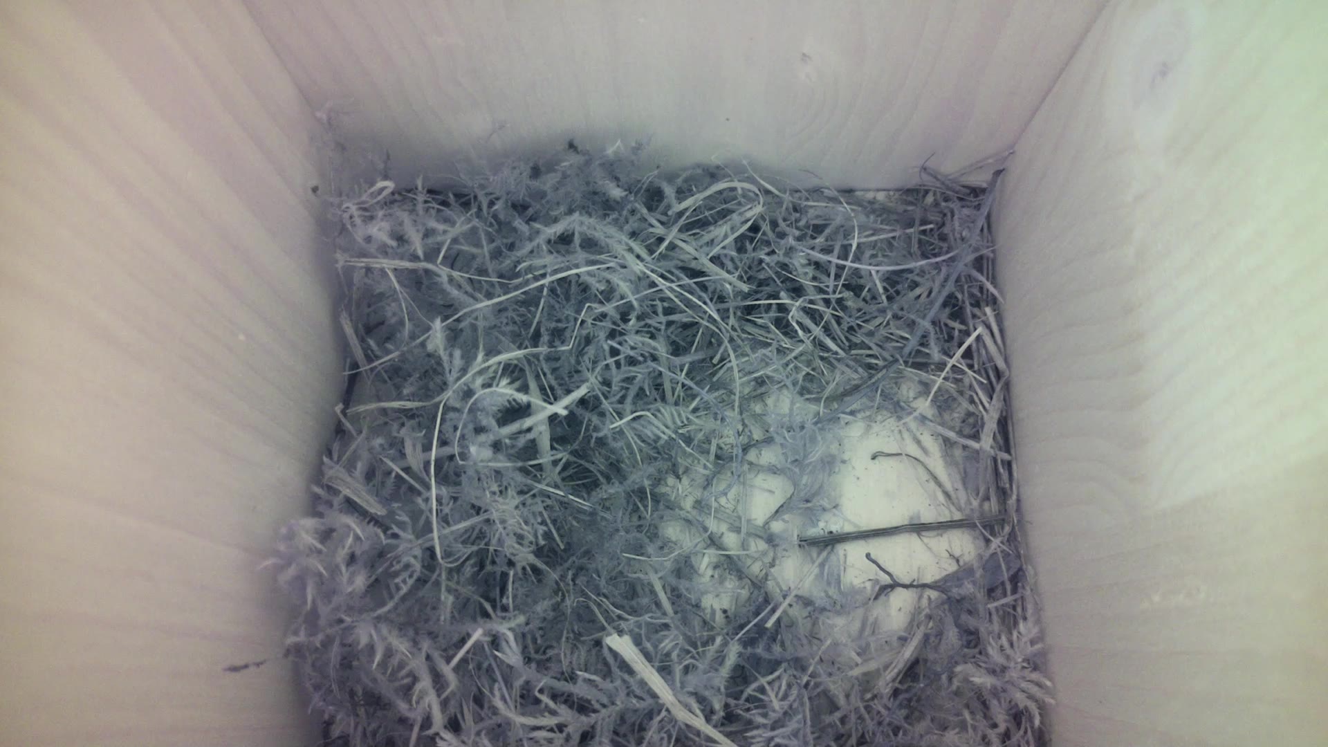 Aufnahme aus dem Vogelhaus