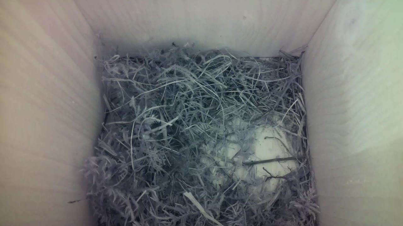 Aufnahme aus dem Vogelhaus