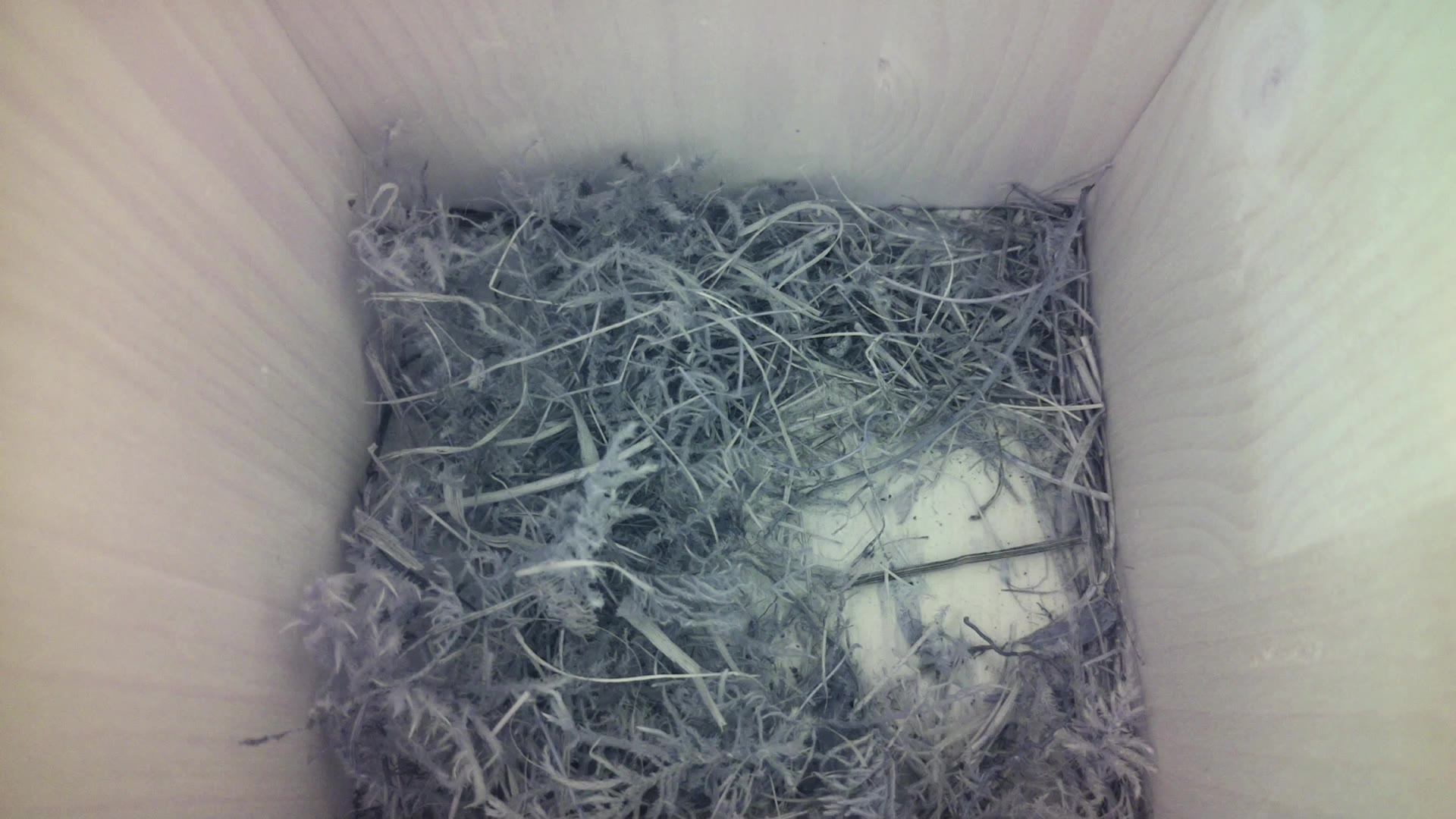 Aufnahme aus dem Vogelhaus