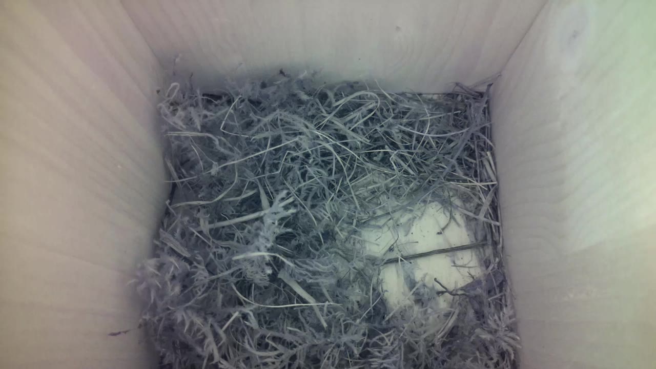 Aufnahme aus dem Vogelhaus