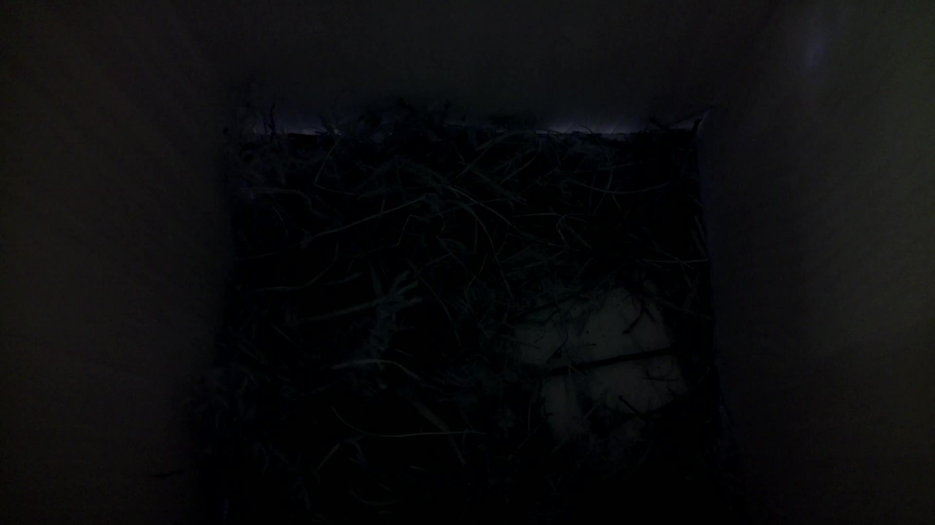 Aufnahme aus dem Vogelhaus