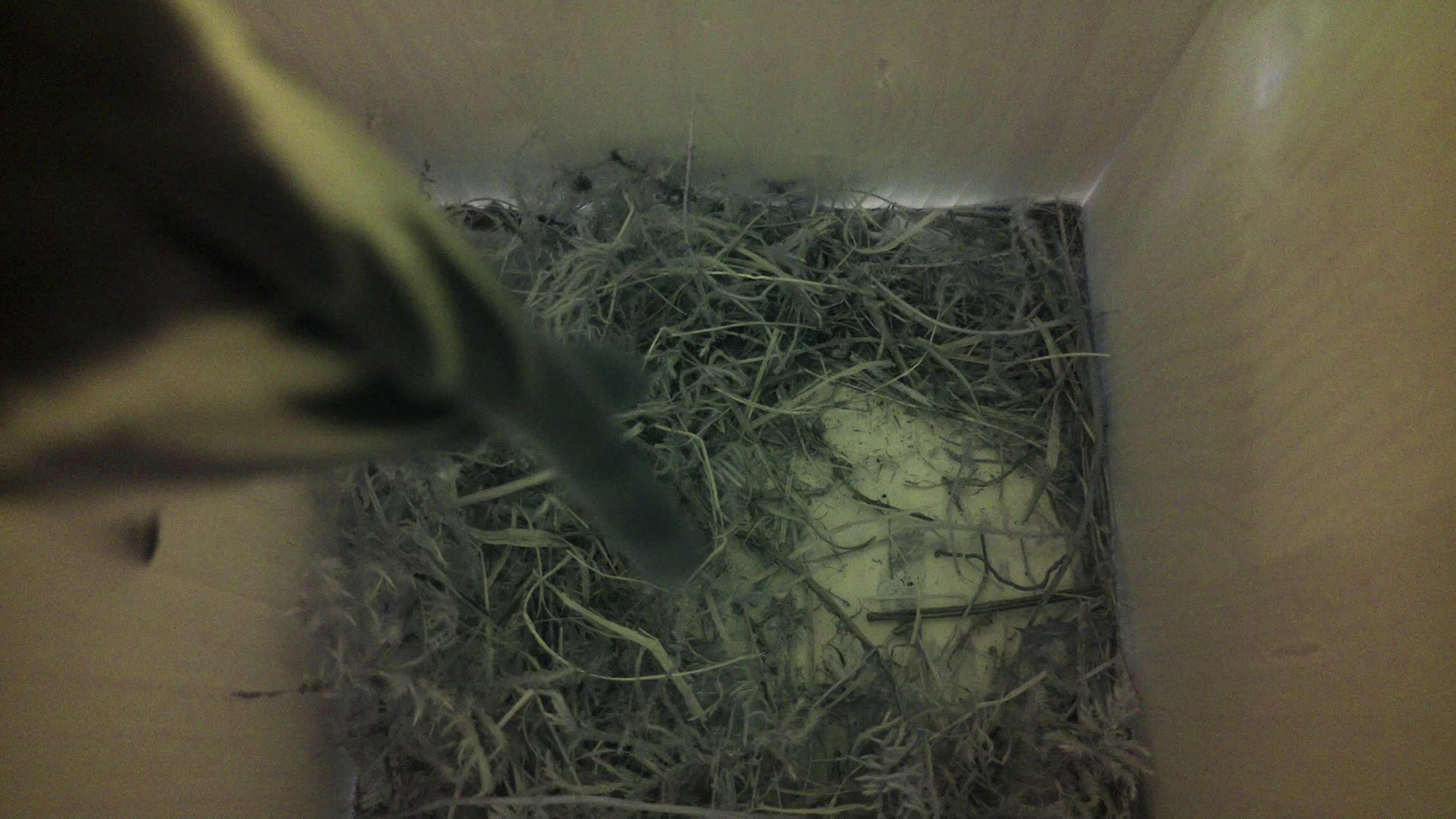 Aufnahme aus dem Vogelhaus