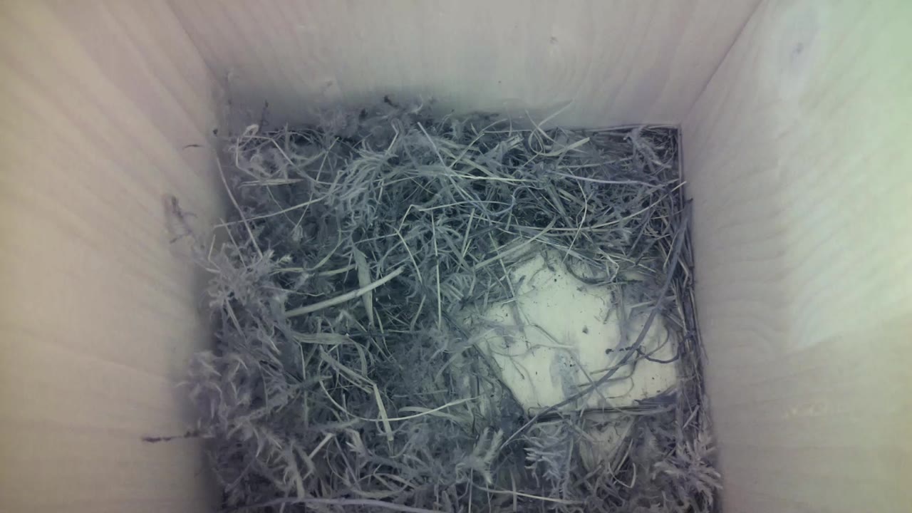 Aufnahme aus dem Vogelhaus