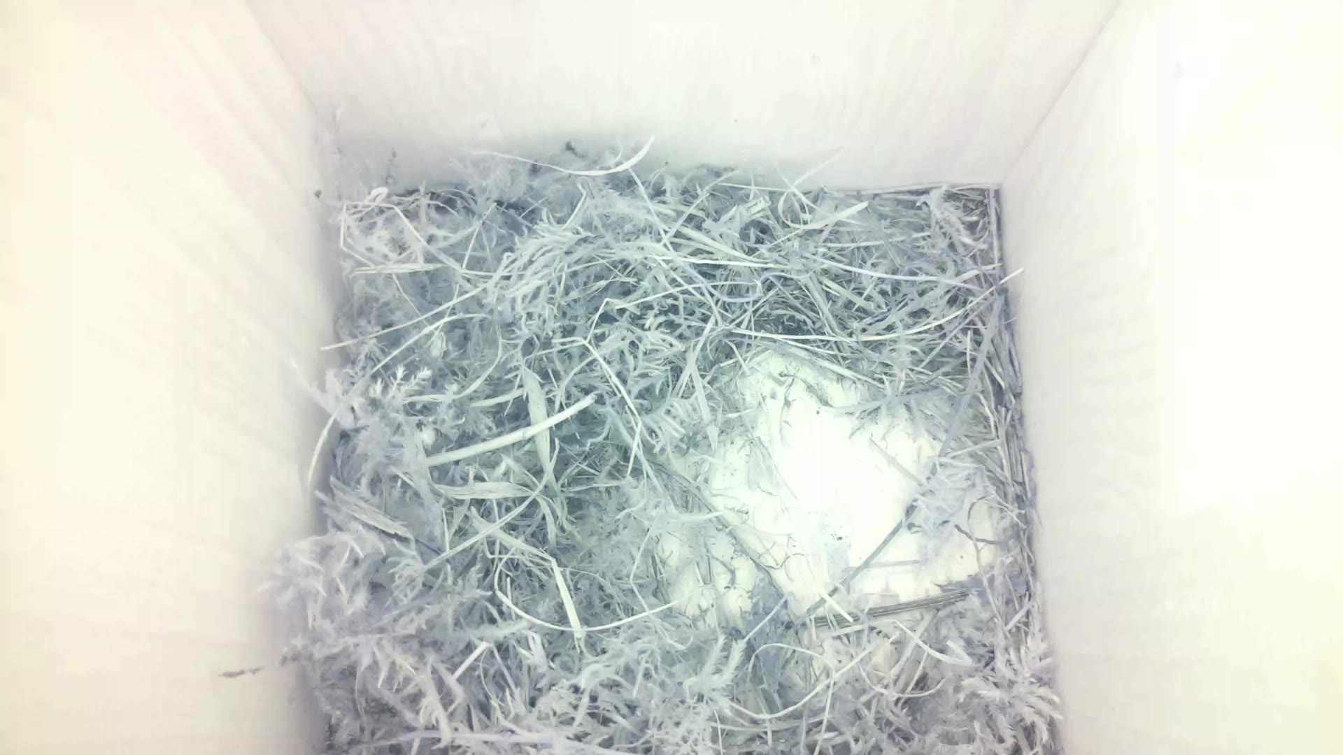 Aufnahme aus dem Vogelhaus